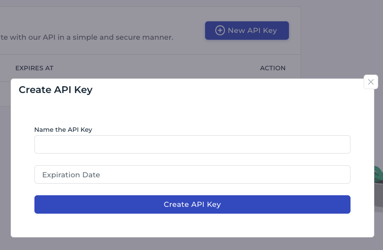 Image Screenshot of the API key creation form